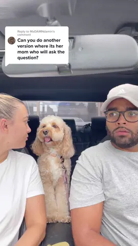 Replying to @MaDAMNdamin  This is why daddy asks the questions 👀😂 #funny #dogs #fyp #foryou #lunatheminicockapoo