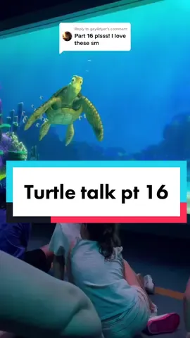 Replying to @gay4dyer  #disney #turtletalk #epcot