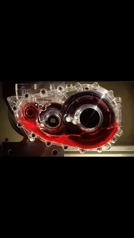 HOW DOES OIL INSIDE ENGINE LOOKS LIKE