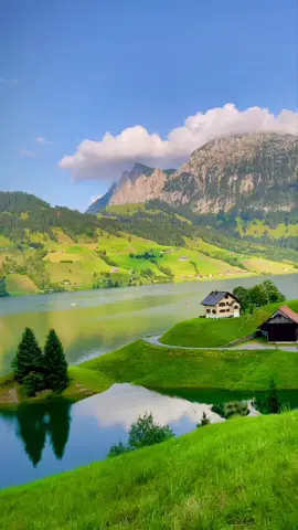 House at the Lake in Switzerland 🏡 #switzerland #nature #schwyz #swissaround #verliebtindieschweiz #trending