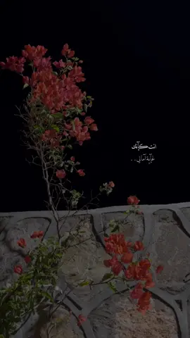 افضل شيلة تعجبكم لبندر بن عوير🎼✨.    #fyp #explore #fypage #foryou #fypシ #بندر_بن_عوير @بندر بن عوير