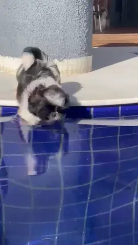 Perdendo medo de piscina