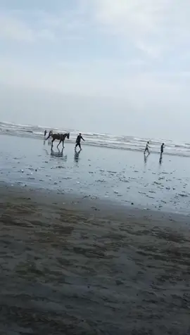 evening vibes 😘#TIKTOK #likesyou #بارش #capturethemoment