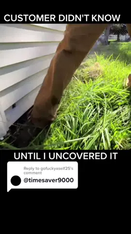 Replying to @gofuckyaself25 Expecting The Worst 😂 #lawncare #context #nomorepart1 #cuttothechase #wdym