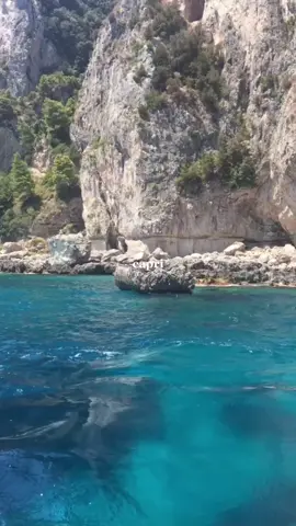 kapree                                                         #capri#limoni#italy#fyp#perte#pourtoi#parati