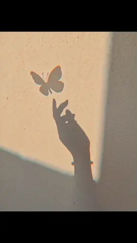 Al Hub Fii Shomti (Cinta dalam diam) - By Veve Zulfikar B #alhubfishomti #vevezulfikar #laguarab #liriklagu #cintadalamdiam