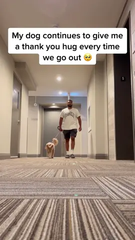 It makes us happy 🥹❤️ #puppylove #doglover #pet #dog #Love #fyp #foryou #lunatheminicockapoo