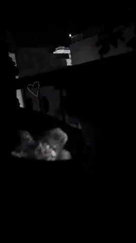 لا تؤذي قلبا رق لك يوماً فلحظات الود لها عليك ألف حق..🧡#حبيبي_اسف_ازعجتك.    #خالد_عبدالرحمن  #خالديات #تصويري #اكسبلور #اكسبلور #fyp #تيك_توك #الاردن #foryou