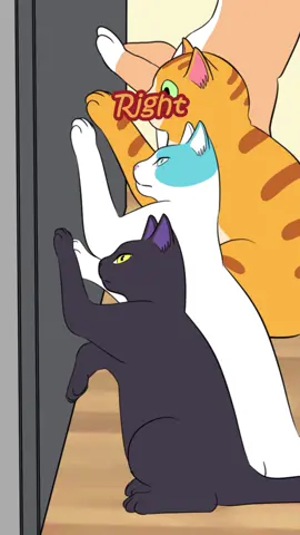 You can’t never go alone🐈🐕 #catsoftiktok #animated #犬 #fypシ