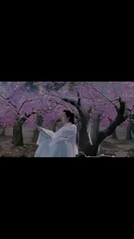Z ra Tứ Ca là Đệ Nhất Mỹ Nam của Tứ Hải Bát Hoang đây sao🥰 #bachchan#bachthien #tamsinhtamthethaplydaohoa#duongmich#ongmat#vumonglung#yb1804#yangmi1991#xu#tiktok
