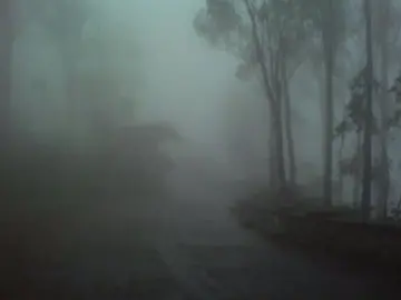 #cry #cigarettesaftersrx #lyrics #sadsongs #zyxcba #fyp #foryou #foryoupage