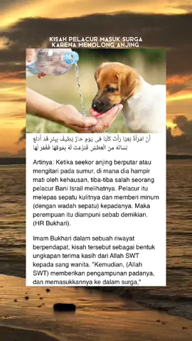 Pasti kalian uda sering dengar ceritanya ( gambar hanya ilustrasi ) #fypシ #sejarahislam #kisahnyata