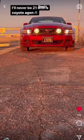 🐺🐺 first video blow it up 👀😘 #fyp #foryou #carsoftiktok #mustanglover #coyote #viral #foryoupage #theboysgotme #5ohcoyote #5oh