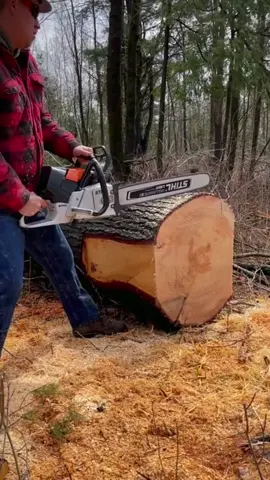 #woodchipper #woodworking #wood the machine is good