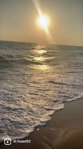 App Used: Capcut1.) Add 1 video and 9 pictures2.) Set their duration (in secs) as9 sec for video & 0.7 for all pics3.) Set Frame ratio: 9:164.) Add any transition you like i used shutter effect5.) Export in 4K at 60 fps at HIGH BitRate.............#summervibes #summer #sea #edit #Summer#reelvideo #viralreels #photography📷 #travelblogger #vacation #sahel #foryou #trending