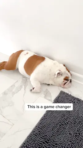 With Muddy Mat on your doorsteps. No more muddy floors. 🐾🐕📸 #muddymat #absorbent #dogthings #tiktokbuys #dogs #dogsvideo