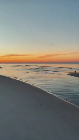 Early bird gets the worm. #sunrise #30A #fyp #asmr #foryoupage