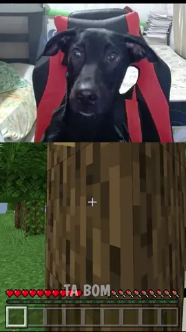 ENSINEI MEU CACHORRO A JOGAR MINECRAFT...#Minecraft #Minecraft #fyyyyyy #fyyyyy #fyyyyy #vaiprofycaramba #vaiprofyporfavorzinho🥺🌈 #mine #humor #fypシ
