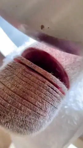 wow cool 🤩🤩🤩