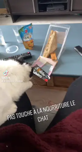 #protection
