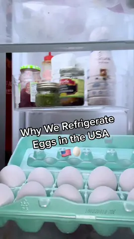 It all comes down to vaccinations. #egg #eggs #chicken #chickens #DidYouKnow #funfact #funfacts #fact #facts #shilohfarm #fyp #foryou #cool #food