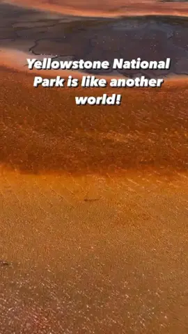 Planning a trip to Yellowstone?  Make sure to check out this itinerary when planning your trip, and save this video for planning!  This 2-day itinerary will let you see a TON of the park!  Most people start their adventure into Yellowstone from West Yellowstone.  DAY ONE: - Drive into the park from West Yellowstone and head to Norris Geyser Basin. This is your first stop! Do the loop trail to see all the awesome hot pools and geysers!  - Next head up to the Mammoth area! Do the loop on the boardwalk to see some amazing tiered geologic features. Keep an eye out for deer and elk, there’s a ton that live up near Mammoth!  - Head to the Calcite Springs Overlook This area of the park isn’t as crowded so enjoy the quietness!  - Next stop: Grand Canyon of the Yellowstone! Make sure to stop at both the North and South Rim viewpoints.  - You’ll drive from Grand Canyon of the Yellowstone to Lake Yellowstone. Plan to spend the night either camping or in the lodging at the lake!  DAY TWO:  - Watch sunrise over the lake.  -Stop at West Thumb Basin!  - Head to Upper Geyser Basin. You’ll spend most your day here hiking the Big Loop, watching Old Faithful and other geysers go off (try to catch Castle Geyser!), and you’ll hike to the Upper Geyser Basin. Grab lunch at any of the awesome spots near Old Faithful! And don’t forget to get your souvenirs at the park stores here!  - finally, your last stop before the end of the day is Midway Geyser Basin to see the Prismatic Eye!  I hope this itinerary helps in your planning!  Questions? Drop them below!  #yellowstonenationalpark #yellowstone #wyoming #wyominglife #nationalpark #nationalparks #nationalparkservice #findyourpark #travelitinerary #sheisnotlost #hikingadventures #hikingculture #wanderlust #yellowstonelive #exploretheusa