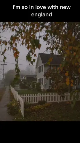 i cant wait to go back to school in the fall- new england is such a treasure that ive just begun to discover #newengland #newenglandaesthetic #fall #autumn #autumnvibes #fallaesthetic #newenglandfall #newenglandautumn #lgbtq #aesthetic #halloween #gothic #boston #massachusetts #newhampshire #connecticut #newyork #rhodeisland