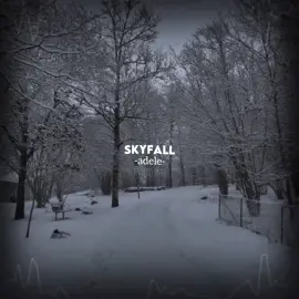 skyfall #adele #skyfall #lyricssngs #fyp #slowedandreverb #slowed #viral #fy 