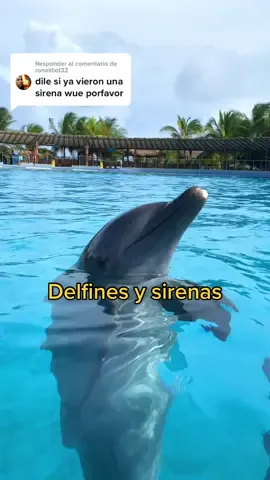 Respuesta a @ronaldxd32