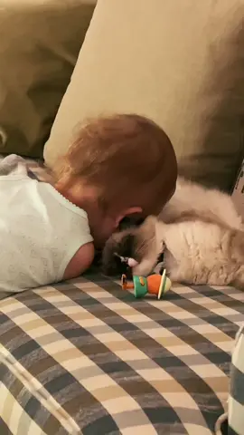 I know she needs a diaper. 😂 #CVSPaperlessChallenge #FilmTeyvatIslands #daughter #2yearsold #fyp #kittycat #Love #ily #sweetbond