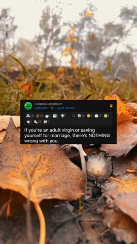 #UnpopularOpinion If you're an adult saving yourself for marriage, there's nothing wrong with you. #redditschmeddit #schmeddit Join my subreddit r/ssschmeddit 📲 Follow @Reddit.Schmeddit + @Schmeddit on IG and Tik Tok for daily Reddit storytimes, Ask Reddit, AITA + much more ✨#reddit #redditstories #redditaita #redditmemes #redditthread #tts #askreddit #redditposts #darkreddit #tifu #subreddit #ask_reddit #dailyreddit #daily_reddits #redditrepost #relateablereddit #redditpage #redditquestions #dailyreddits #funnyreddits #redditor #redditgram #redditors #bestreddit #confessions