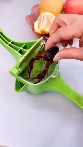 Manual Juicer #kitchen #juicer #juice #goodstuff