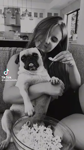 I cant live with out you frank🐶🥰