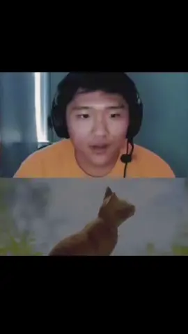 #stray #straycat #ending #fyp #foryou #game #videogame