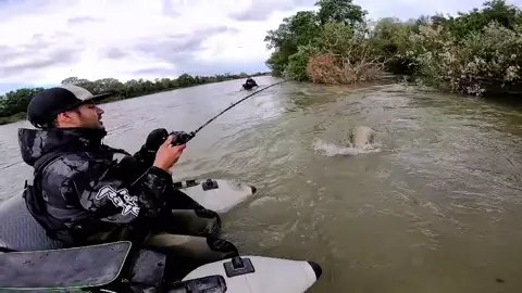 #fishing #pesca #wedkarstwo #catfish #siluro #sum #predatorfish #rivergishing #monsterfish #spinfishing #deporte #sports