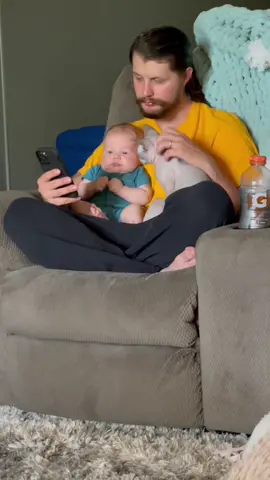 #PetsOfTikTok #sphynx