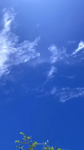 pandangi rasakan luapkan pada langit yang biru ✨ #aestheticvideos #cinematic #langit #fyp #tulisanalam