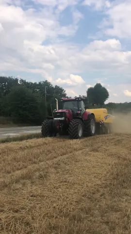 #casepuma200cvt #casepuma #caseih #casepower #caselovers #redpower #openpijp #luchthoorns #pressen #newholland #tarwe #newhollandpower #graan #newhollandpres  #balenpers #newhollandBB9070 #stro #tarweoogst #graanoogst #nofarmersnofood #zonderboergeenvoer🍐🚜🥔🌽🥛🤠 #tractor #zonderboergeenvoervoorjou #zonderboerligthongeropdeloer #vriendelijkeboer #boereleven🍻