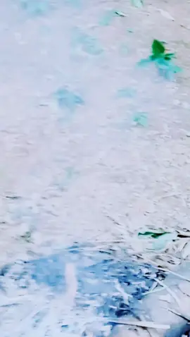 #အပြန်လမ်းတာယာချက် ❣️❣️❣️❣️🇳🇱🇳🇱🇳🇱🇳🇱