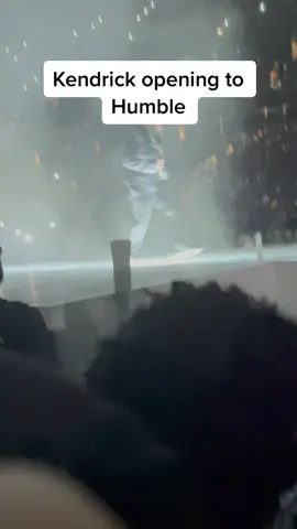 My whole life has been made