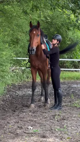 #equestrian969 #fyp #WeStickTogether #horsetiktok #equestrians #equestriantiktok #funnyhorsevideo #horses4life #bayhorse #horsereaction #horsespooking #horseandrider #horsesoftiktok #expecttheunexpected #horsefunnymoment #horsefunny #MickeyFriendsStayTrue (IG:horses.pocahunt.as)