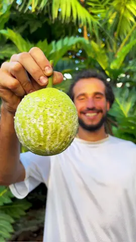 Back Yard Bread Fruit Harvest #fyp #real #fruit #Maafala #harvest #plantbased