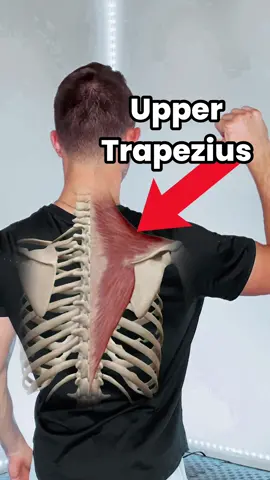 Tight upper traps?? Save this for your long day at work! 😁✌🏽 #cervicalpain #chiropracticadjustment #physicaltherapy #neckcrack