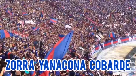 Quién más no ha dormido nada? #vamoslau #todalavida #ganesopierdas