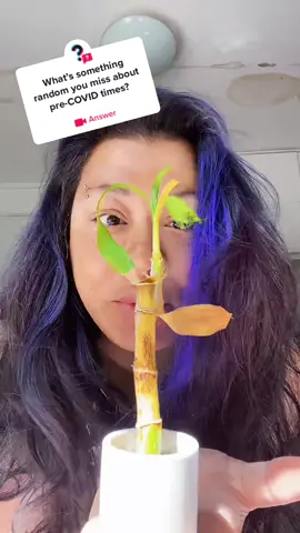 #answer to @AskTikTok i miss love 💜#conspiracycrew #WeStickTogether #foryou #duetthis