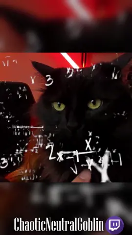 kitteh #void  #voidfloof#confused #meme #mathmeme #blackcatsoftiktok #chaoticneutralgoblin