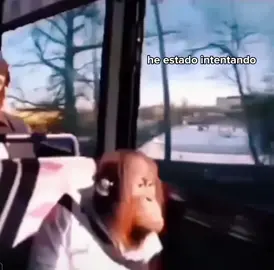 #fyp #kanyewest #ghotstown #ye #teamoye