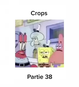 #pourtoi #pourtoiii #pourtoiiiiiiiiiiiiiiiii #fyp #foryoupage #fypシ゚viral #fypシ #crops #encadrer #meme #bobleponge #omgbro