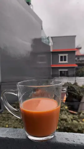 Tea & rain, a perfect combo 🥹☕️🌧 #tealovers #pokhara #monsoonvibes #spacechya