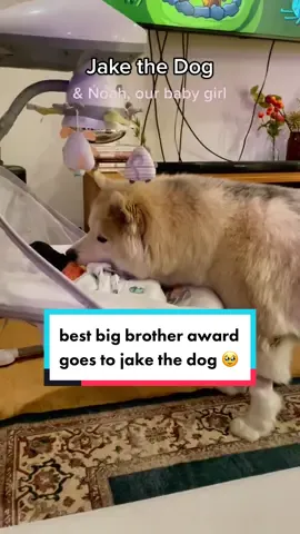 jake & noah pt. 1 🖤 #PetsOfTikTok #babyanddog #fyp #foryou #alaskanmalamute #babiesoftiktok  